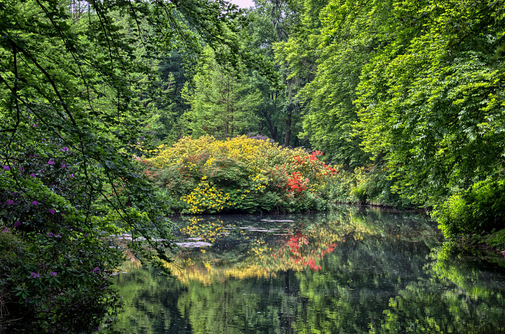 Teich im Rhododendron-Park Bremen