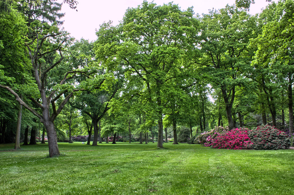 Parklandschaft Rhododendron-Park Bremen